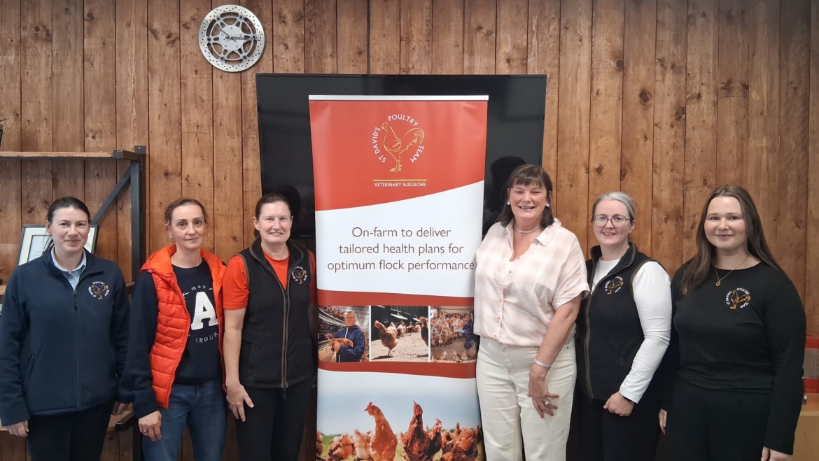 Menopause awareness moves up the workplace agenda for St David’s Poultry Veterinary Team in Dungannon